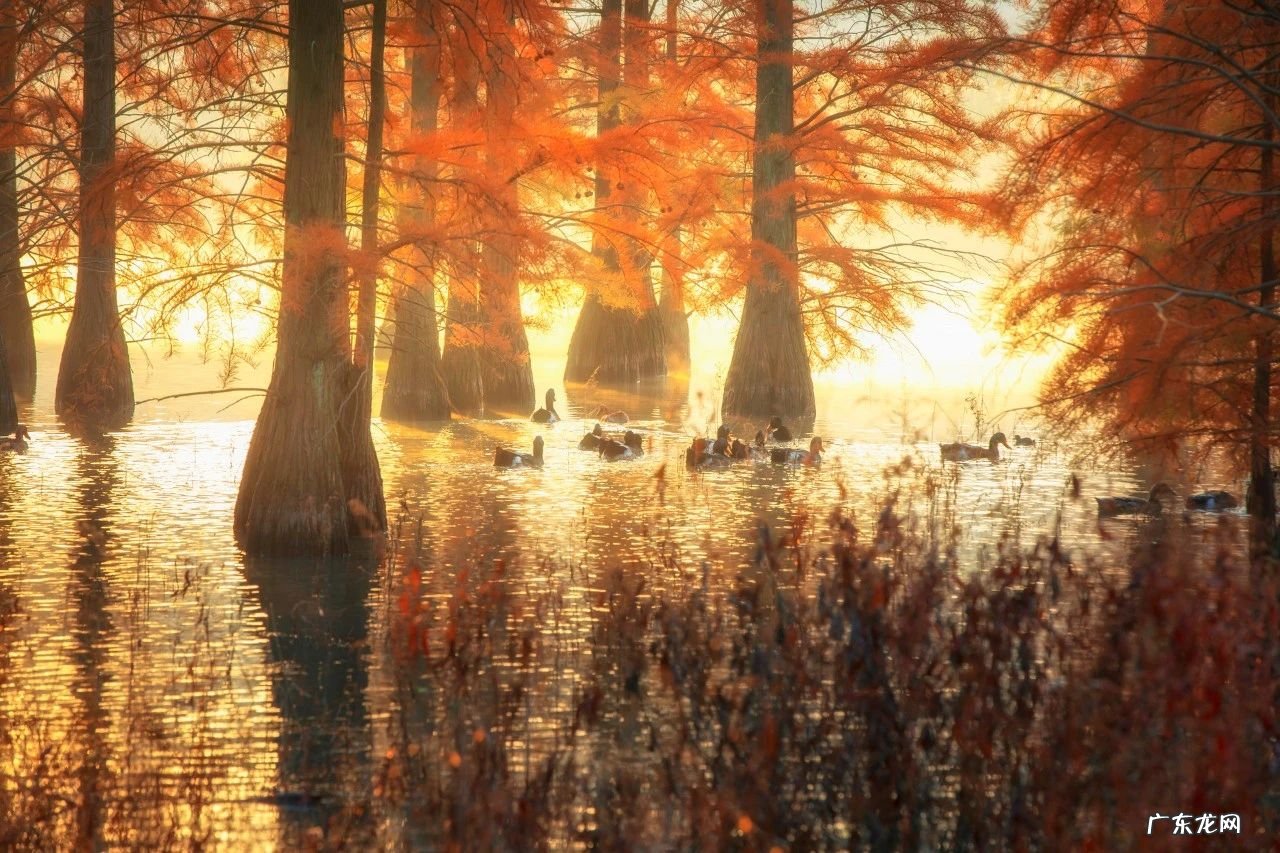 秋天的经典文章 秋天的文章有哪些