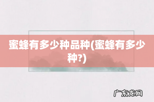 蜜蜂有多少种? 蜜蜂有多少种品种