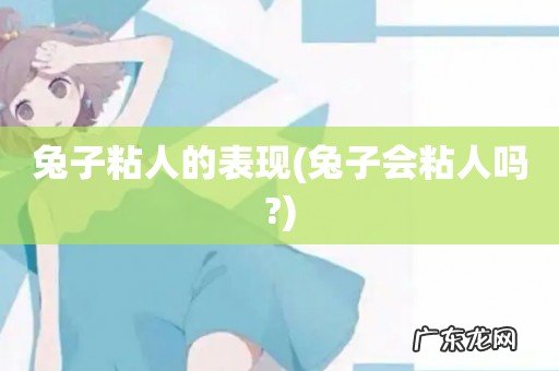 兔子会粘人吗? 兔子粘人的表现