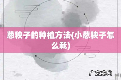 小葱秧子怎么栽 葱秧子的种植方法