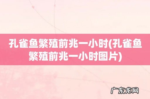 孔雀鱼繁殖前兆一小时图片 孔雀鱼繁殖前兆一小时