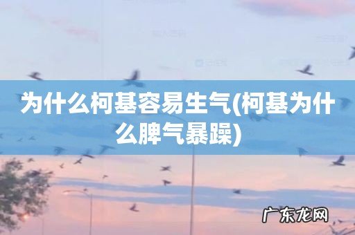 柯基为什么脾气暴躁 为什么柯基容易生气