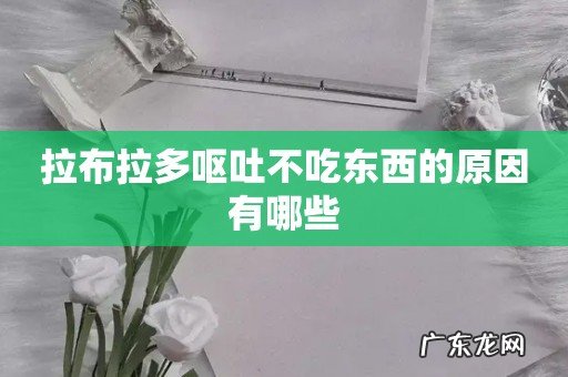 拉布拉多呕吐不吃东西的原因有哪些