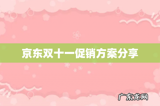 京东双十一促销方案分享