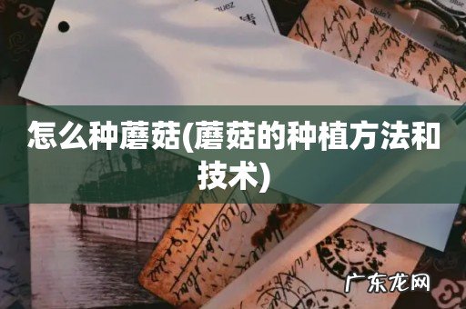 蘑菇的种植方法和技术 怎么种蘑菇