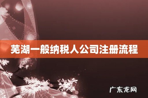 芜湖一般纳税人公司注册流程