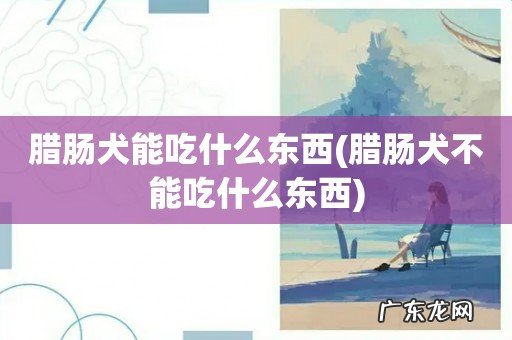 腊肠犬不能吃什么东西 腊肠犬能吃什么东西