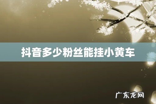 抖音多少粉丝能挂小黄车