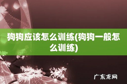 狗狗一般怎么训练 狗狗应该怎么训练