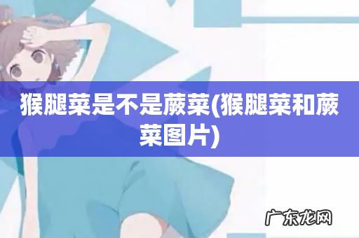 猴腿菜和蕨菜图片 猴腿菜是不是蕨菜