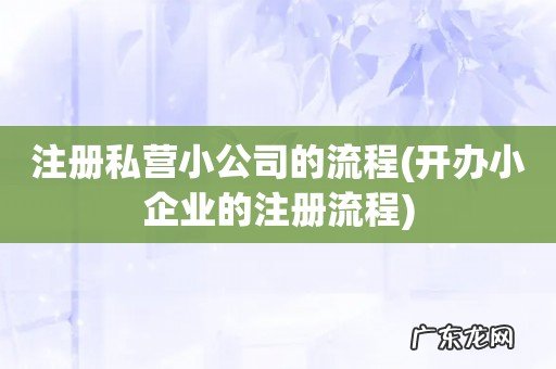 开办小企业的注册流程 注册私营小公司的流程