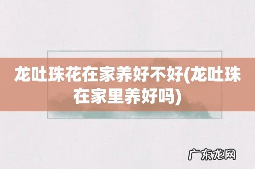 龙吐珠在家里养好吗 龙吐珠花在家养好不好