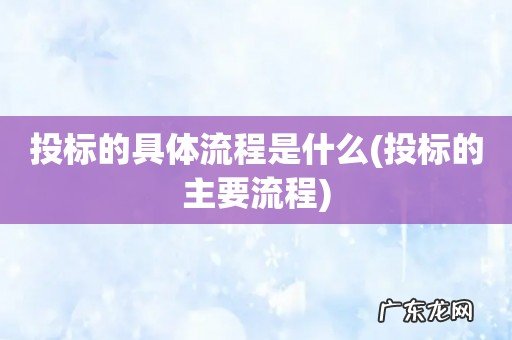 投标的主要流程 投标的具体流程是什么