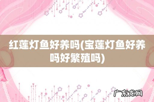 宝莲灯鱼好养吗好繁殖吗 红莲灯鱼好养吗