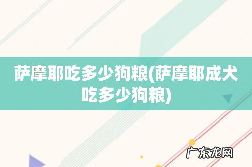 萨摩耶成犬吃多少狗粮 萨摩耶吃多少狗粮