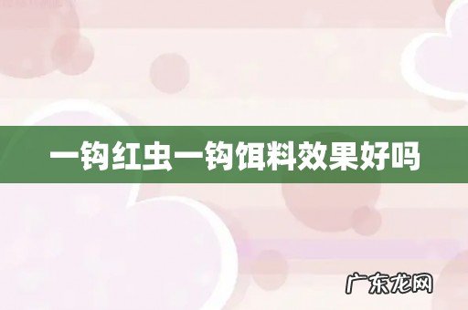 一钩红虫一钩饵料效果好吗