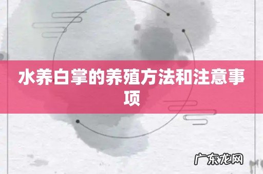 水养白掌的养殖方法和注意事项