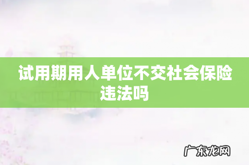 试用期用人单位不交社会保险违法吗