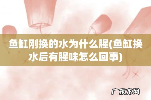 鱼缸换水后有腥味怎么回事 鱼缸刚换的水为什么腥