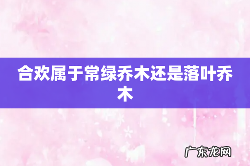 合欢属于常绿乔木还是落叶乔木