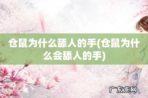 仓鼠为什么会舔人的手 仓鼠为什么舔人的手