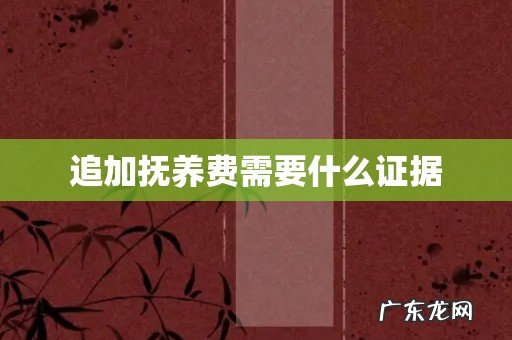 追加抚养费需要什么证据