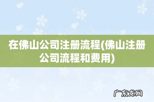 佛山注册公司流程和费用 在佛山公司注册流程