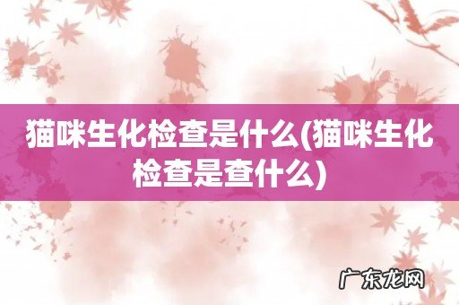 猫咪生化检查是查什么 猫咪生化检查是什么