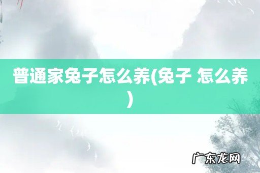 兔子 怎么养 普通家兔子怎么养