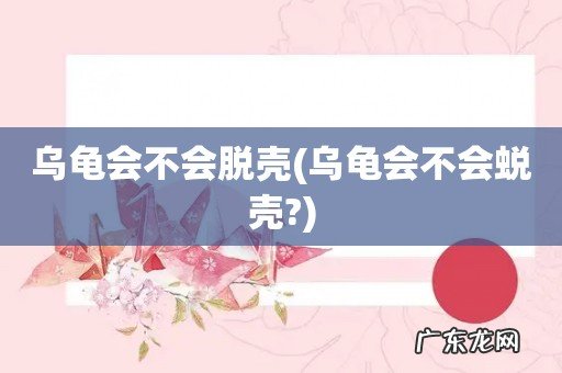 乌龟会不会蜕壳? 乌龟会不会脱壳