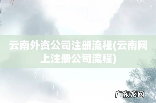 云南网上注册公司流程 云南外资公司注册流程