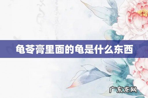 龟苓膏里面的龟是什么东西