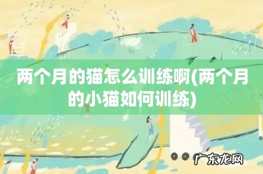 两个月的小猫如何训练 两个月的猫怎么训练啊