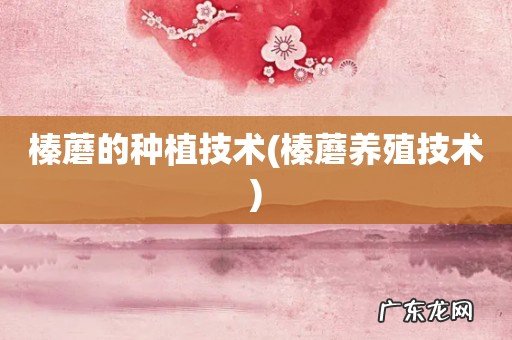 榛蘑养殖技术 榛蘑的种植技术