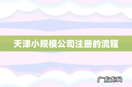 天津小规模公司注册的流程