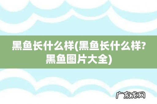 黑鱼长什么样?黑鱼图片大全 黑鱼长什么样