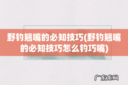 野钓翘嘴的必知技巧怎么钓巧嘴 野钓翘嘴的必知技巧
