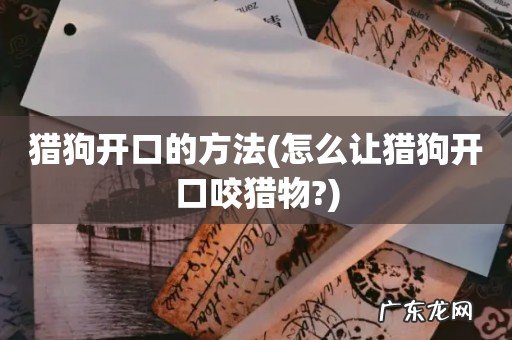 怎么让猎狗开口咬猎物? 猎狗开口的方法