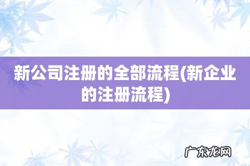 新企业的注册流程 新公司注册的全部流程