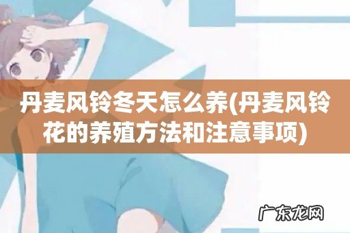 丹麦风铃花的养殖方法和注意事项 丹麦风铃冬天怎么养