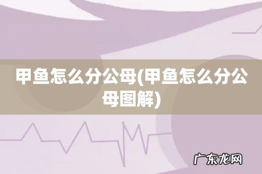 甲鱼怎么分公母图解 甲鱼怎么分公母