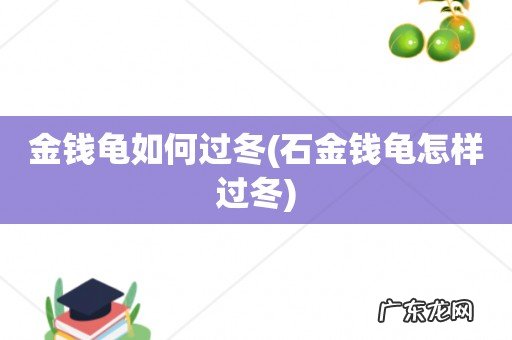 石金钱龟怎样过冬 金钱龟如何过冬