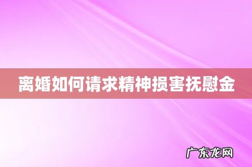 离婚如何请求精神损害抚慰金