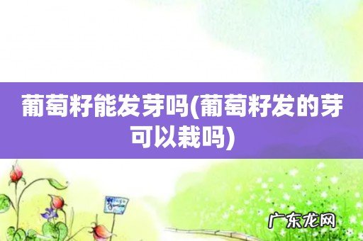 葡萄籽发的芽可以栽吗 葡萄籽能发芽吗