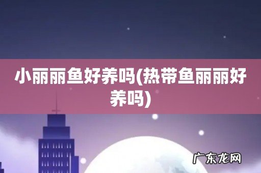 热带鱼丽丽好养吗 小丽丽鱼好养吗