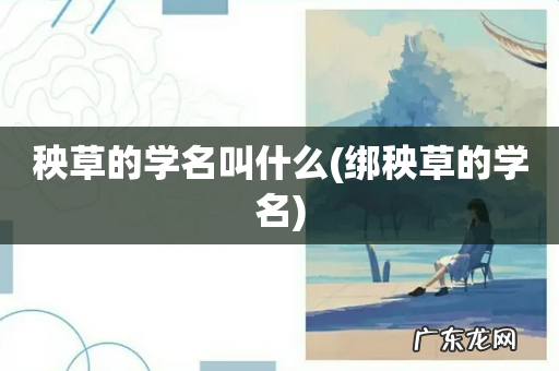 绑秧草的学名 秧草的学名叫什么