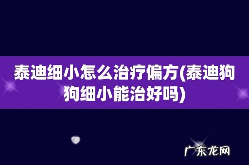 泰迪狗狗细小能治好吗 泰迪细小怎么治疗偏方