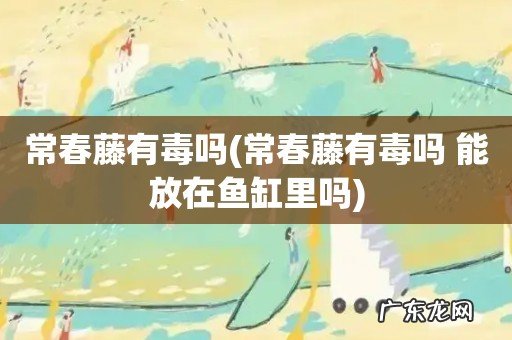 常春藤有毒吗 能放在鱼缸里吗 常春藤有毒吗