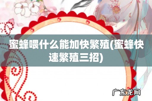 蜜蜂快速繁殖三招 蜜蜂喂什么能加快繁殖