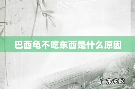 巴西龟不吃东西是什么原因